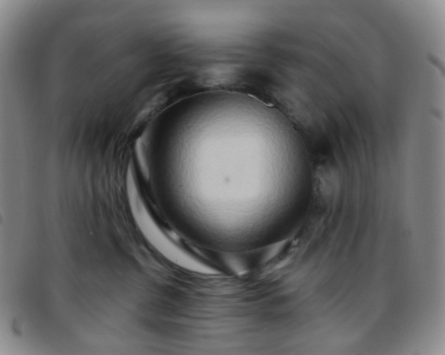 X0000097780380200803141813