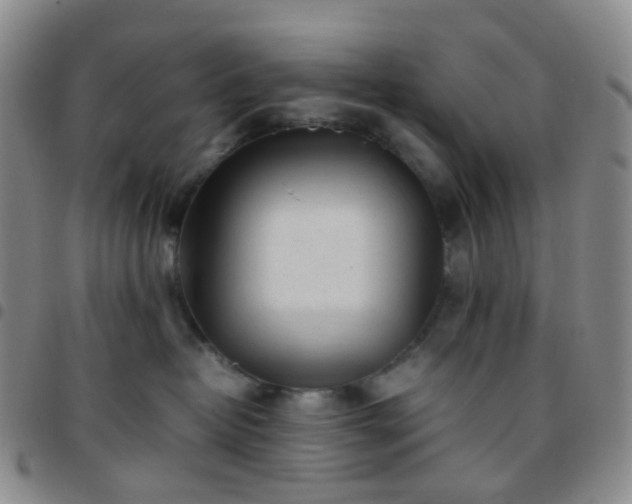 X0000097780382200803141813