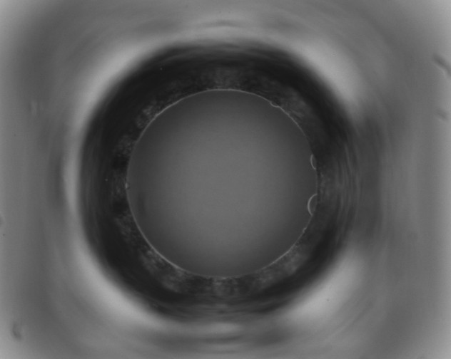 X0000097780383200803141813