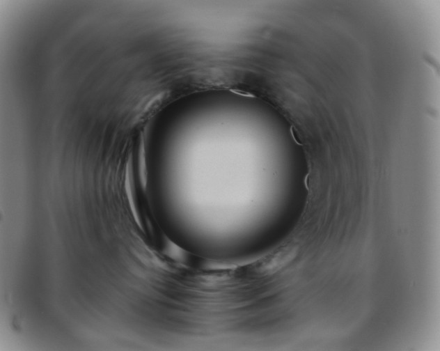 X0000097780384200803141813