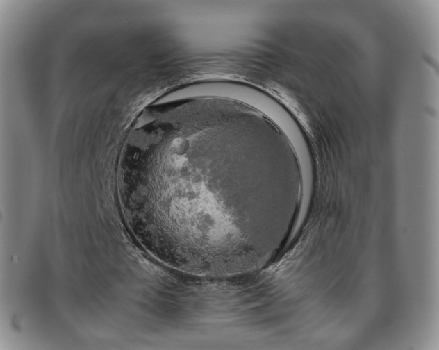 X0000097780385200803141812