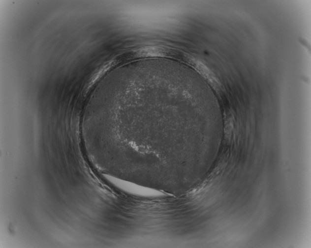 X0000097780386200803141812