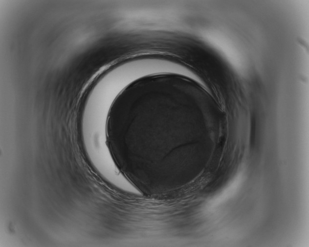 X0000097780387200803141812