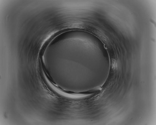 X0000097780388200803141812