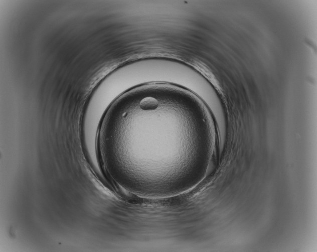 X0000097780389200803141812