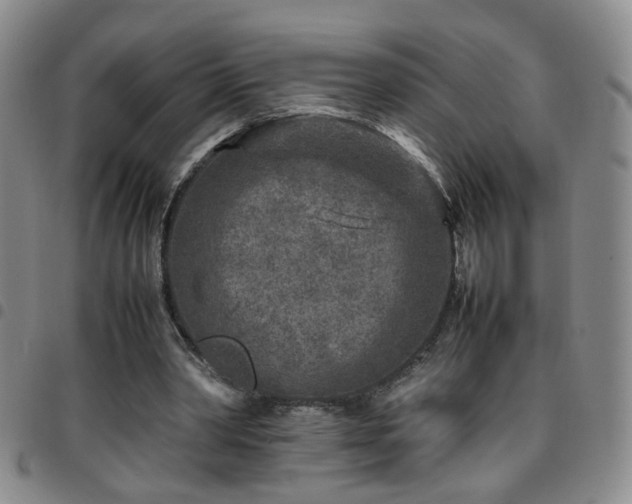 X0000097780390200803141812