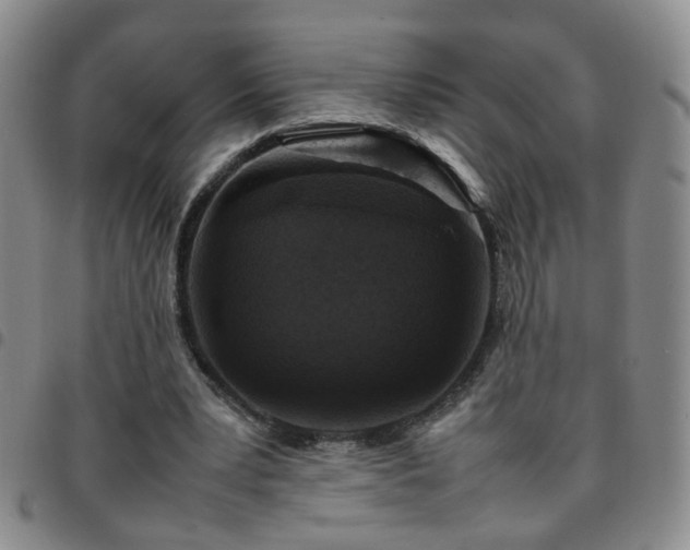 X0000097780391200803141812