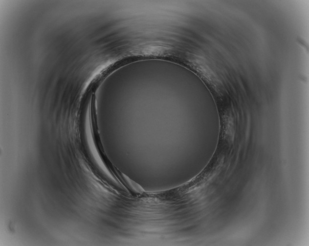 X0000097780392200803141812