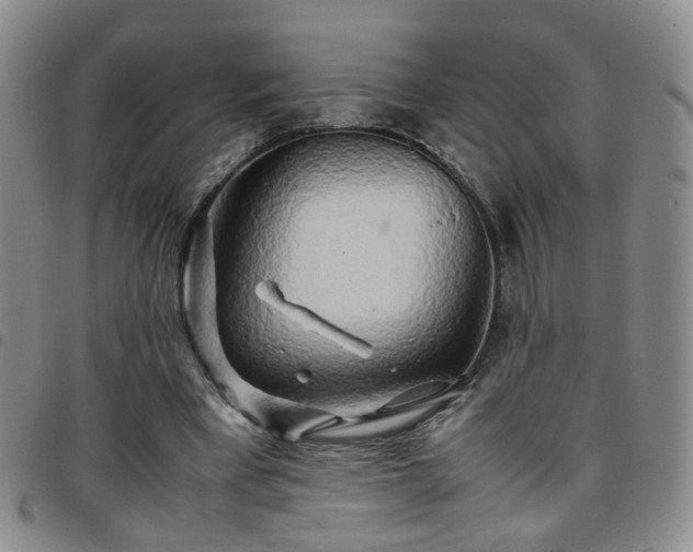 X0000097780393200803141812