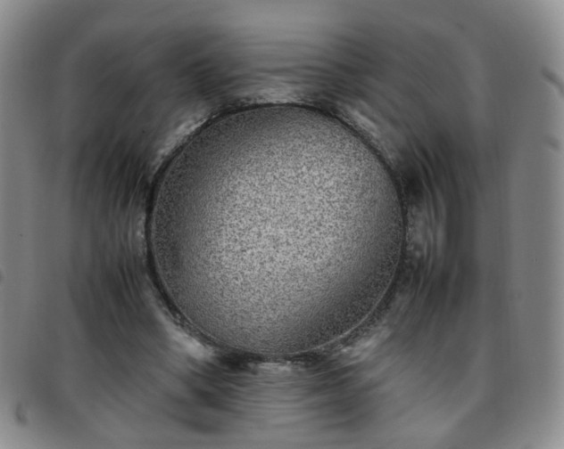 X0000097780394200803141812