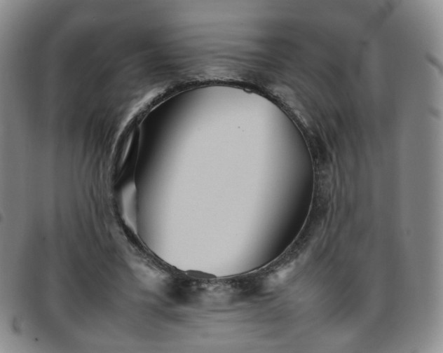 X0000097780395200803141812