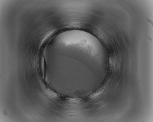 X0000097780396200803141812