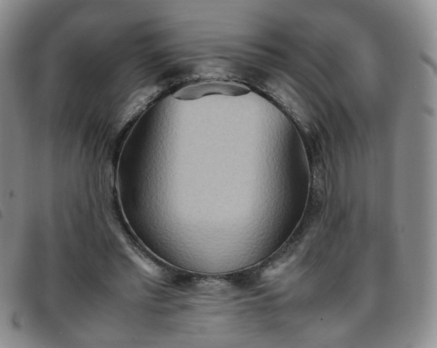 X0000097780397200803141812