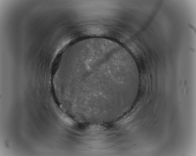 X0000097780399200803141812