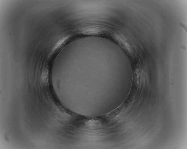 X0000097780400200803141812