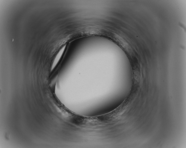 X0000097780401200803141812