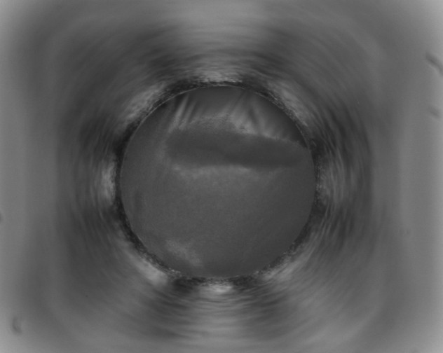 X0000097780402200803141812