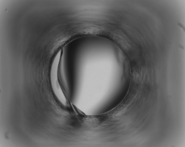 X0000097780403200803141812