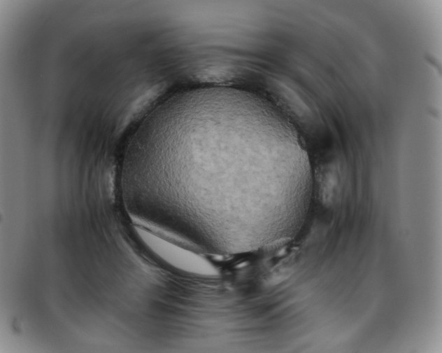 X0000097780404200803141812