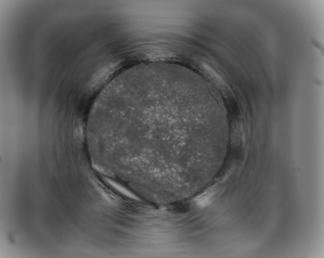 X0000097780405200803141812