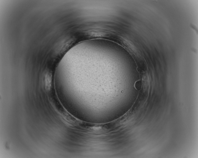 X0000097780406200803141812