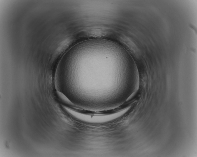 X0000097780407200803141812