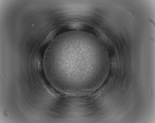 X0000097780408200803141812