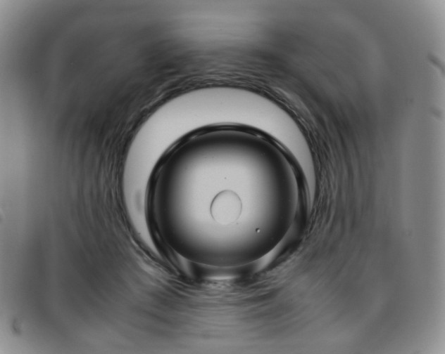 X0000097780409200803141812