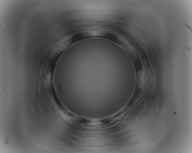 X0000097780410200803141812