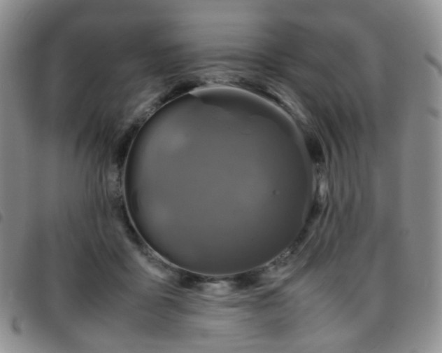 X0000097780411200803141812