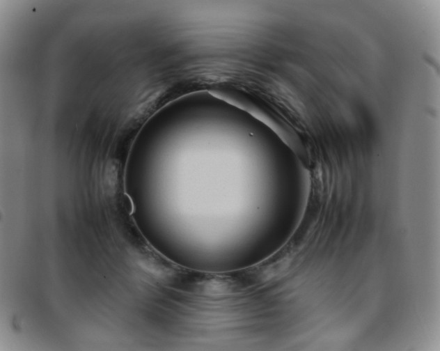 X0000097780412200803141812