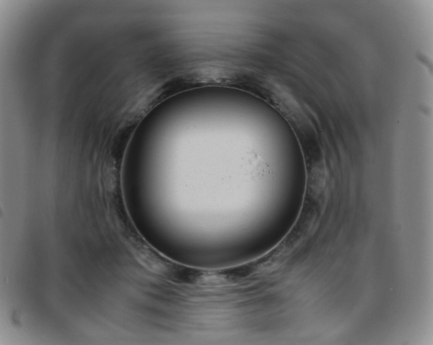 X0000097780413200803141812