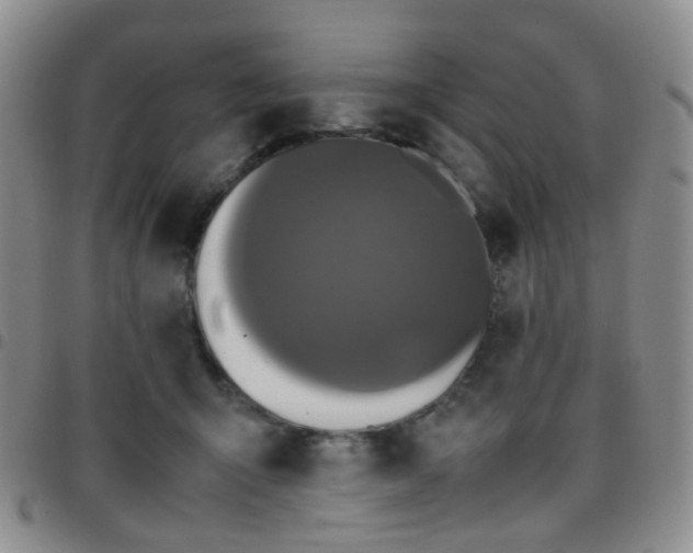 X0000097780415200803141812