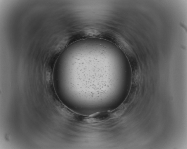 X0000097780417200803141812