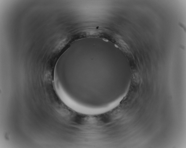 X0000097780419200803141812