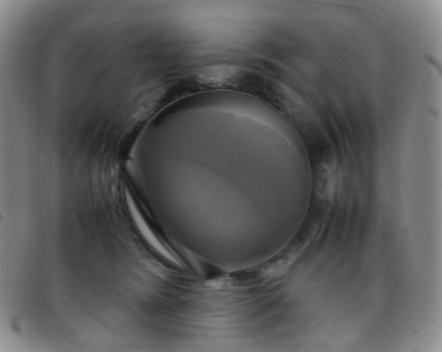 X0000097780420200803141812