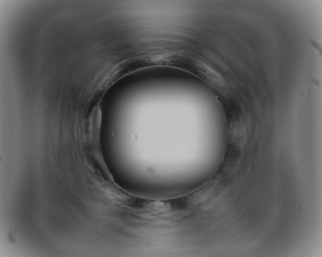 X0000097780421200803141812