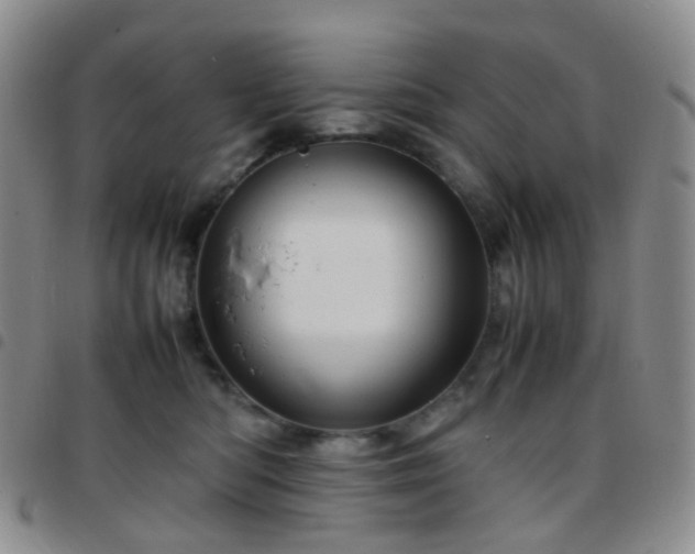 X0000097780422200803141812