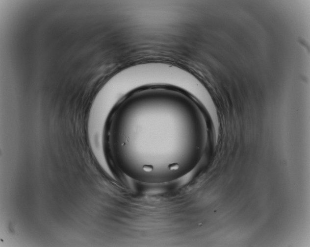 X0000097780423200803141812