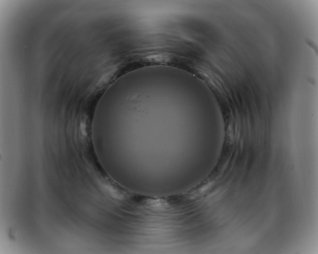 X0000097780424200803141812