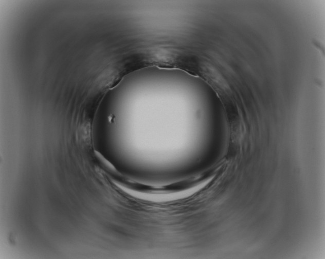 X0000097780425200803141812