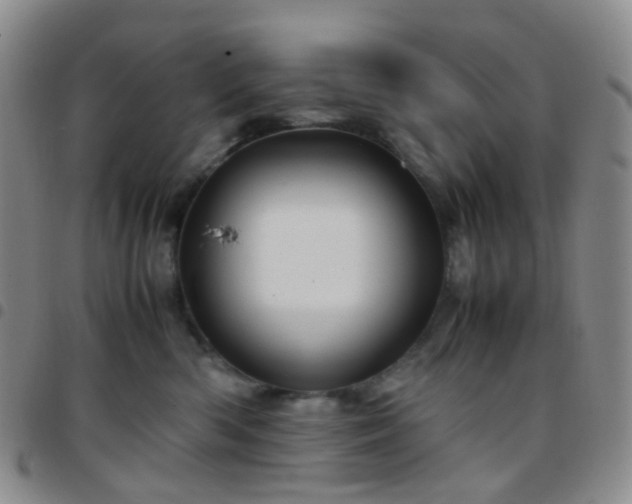 X0000097780426200803141812