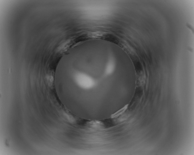 X0000097780427200803141812