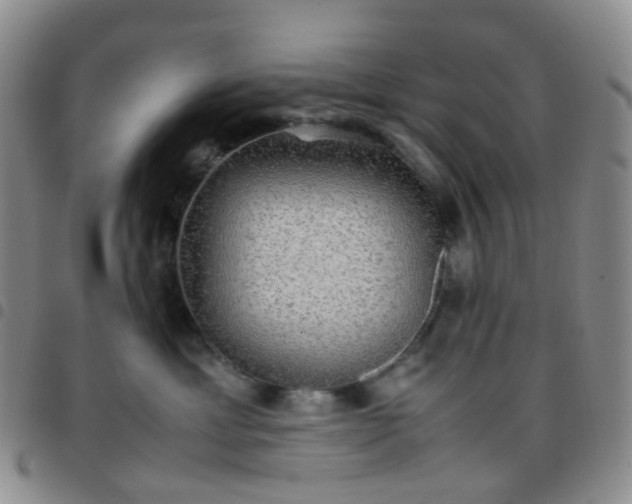 X0000097780429200803141812