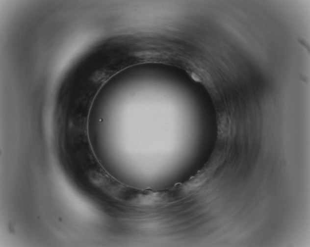 X0000097780430200803141812