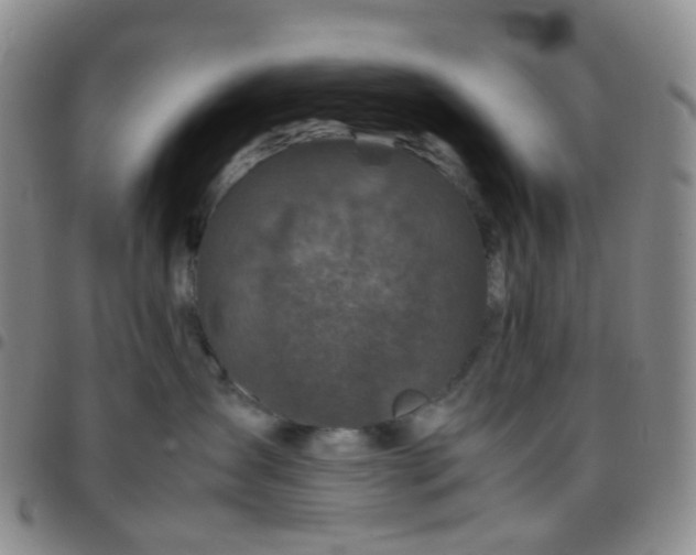 X0000097780431200803141812