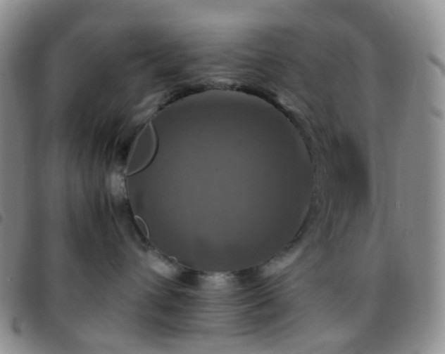 X0000097780432200803141812