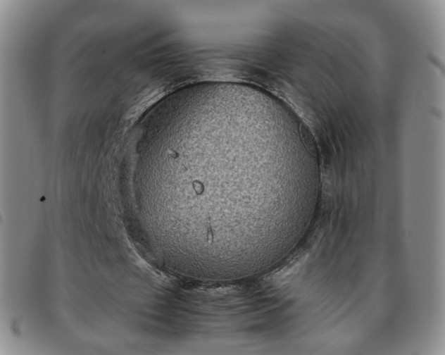 X0000097780433200803141811