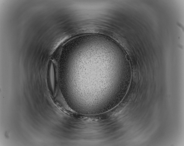 X0000097780434200803141811