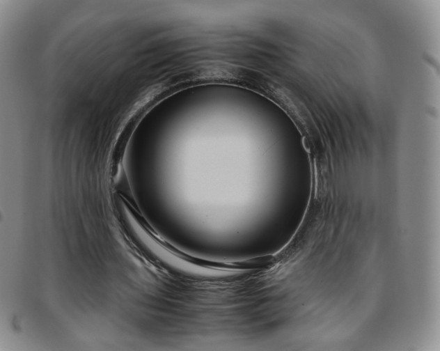 X0000097780435200803141811